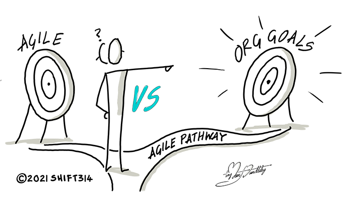 Agile Is Not the Goal of an Organization. It's a Means of Achieving Organizational Goals.